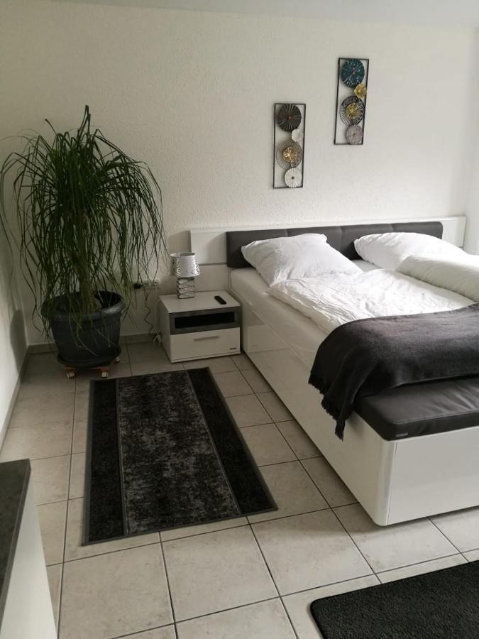 Ferienapartment "Vier Pfoten" In 科尔巴赫 外观 照片